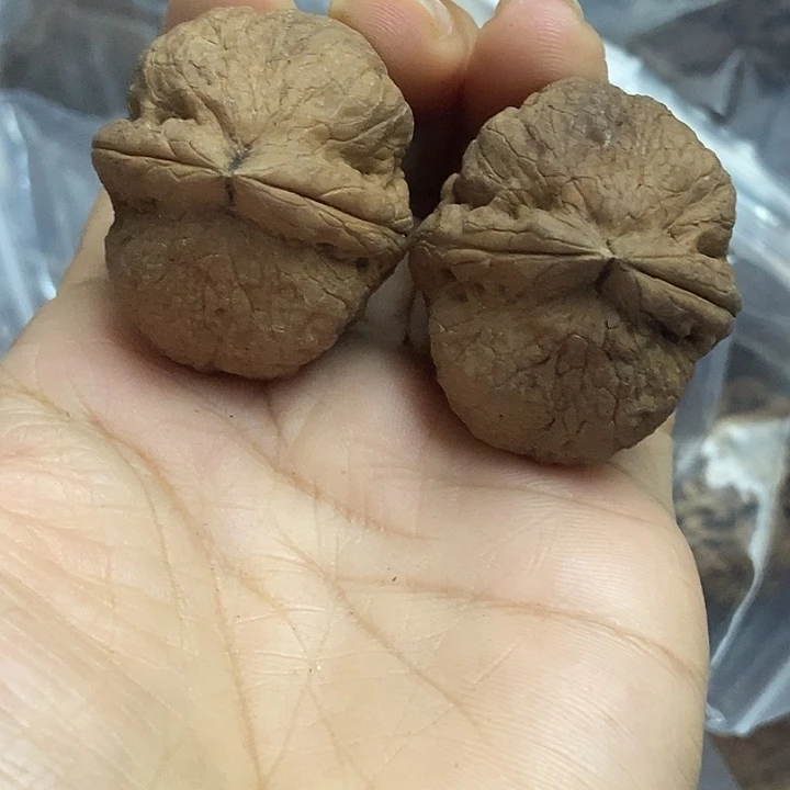 文玩核桃把件云南铁核桃基地