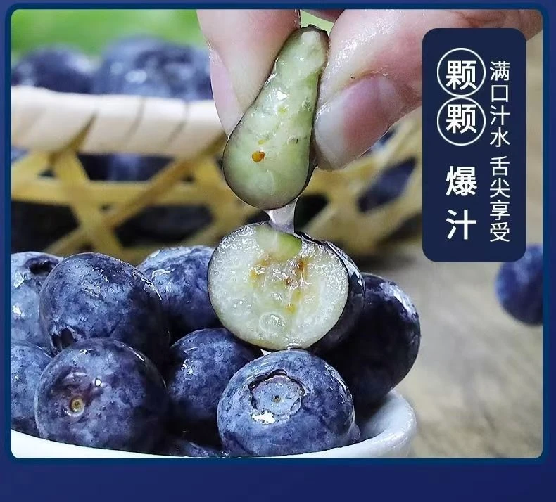 （4盒装）应季新鲜蓝莓 沂蒙山头茬蓝莓 现摘现发 100克/盒