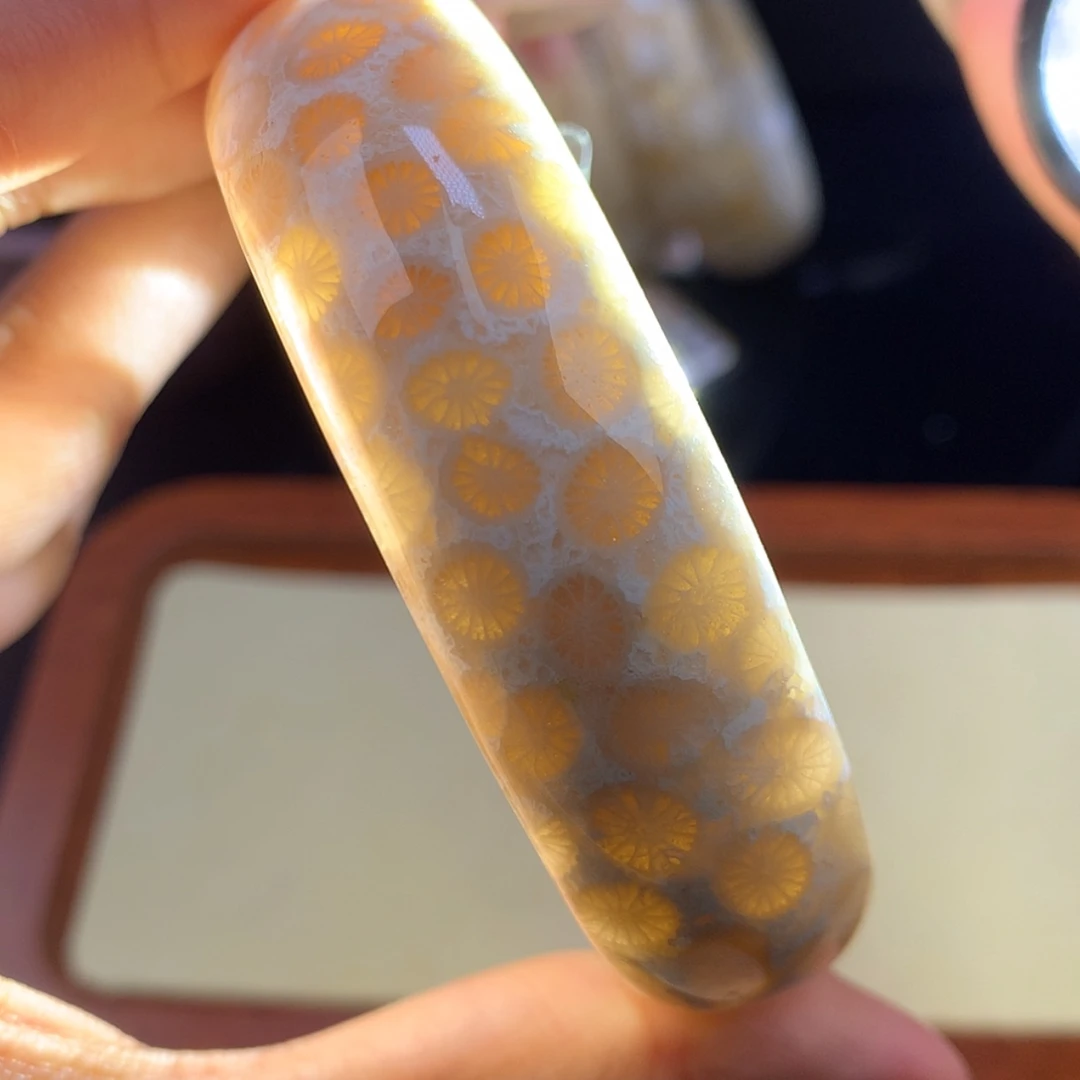 【闪购商品】颈饰未镶嵌硅化珊瑚（珊瑚玉）21号 60.8圈 白冰显花