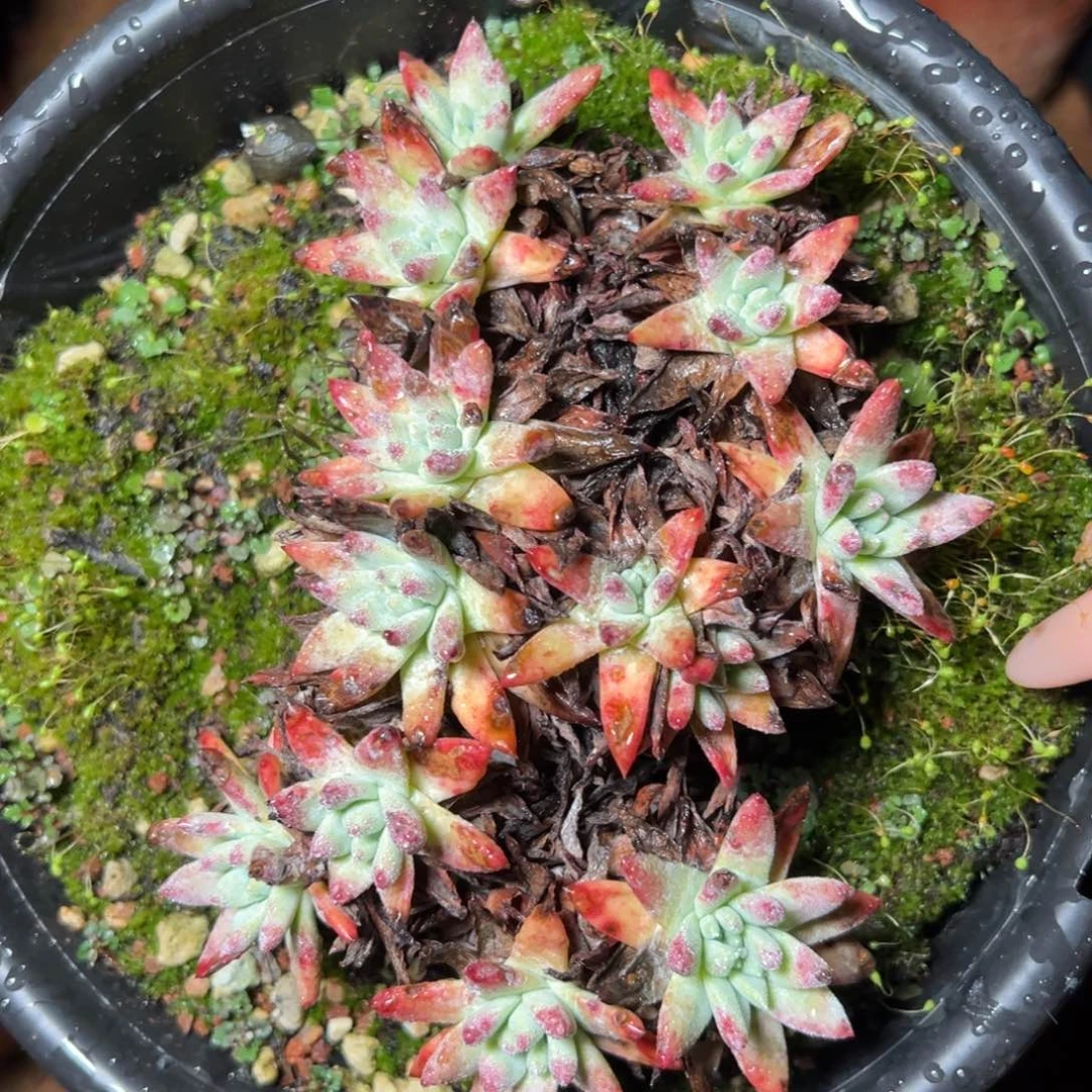 3380哈哈哈哈哈哈哈哈哈