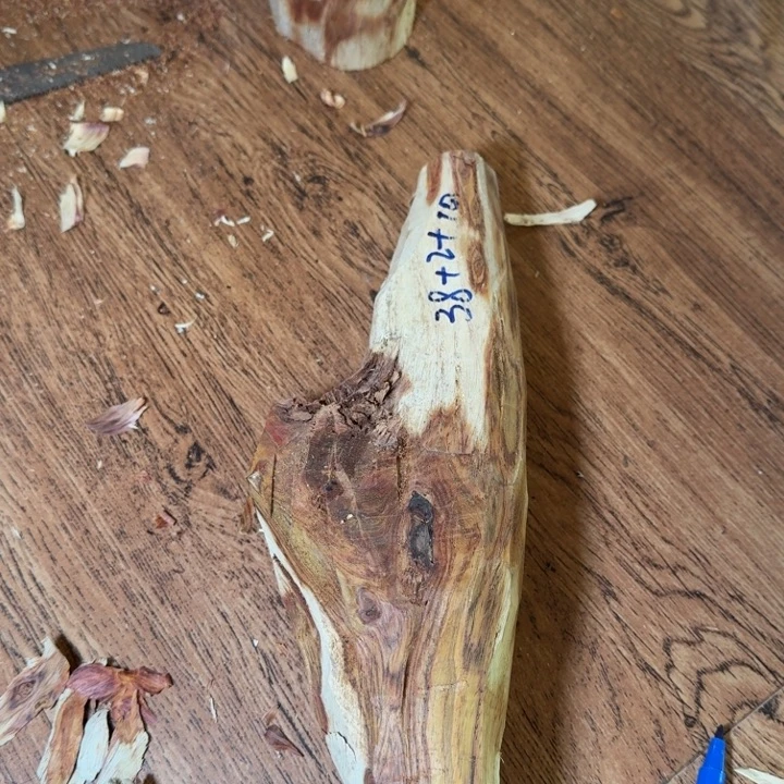 乌****木海南，海北飞灰尘。甘受商于仪诳楚