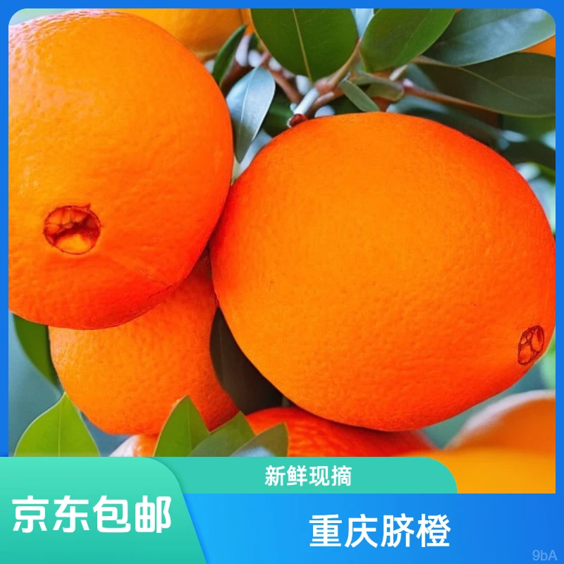 正宗重庆奉节脐橙产地直发新鲜现摘伦晚橙子当季水果整箱包邮