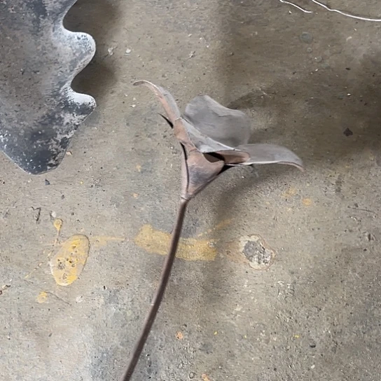 哈哈哈哈哈孤品哈哈