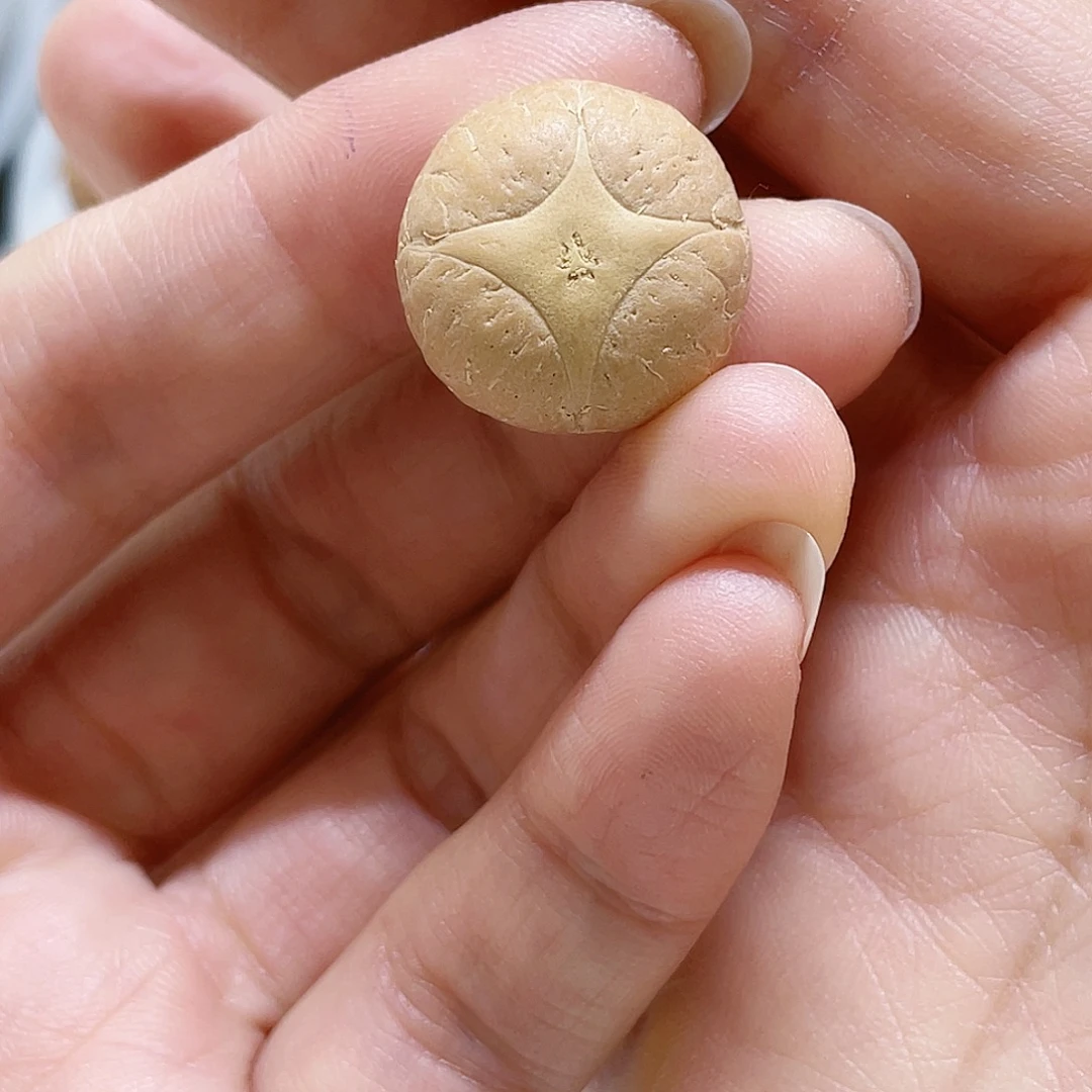 鱼****麒麟眼菩提吊坠7@8197，19➕麒麟