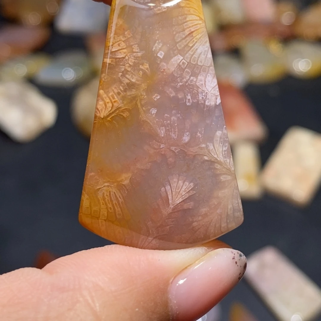 【闪购商品】硅化玉珊瑚玉未镶嵌