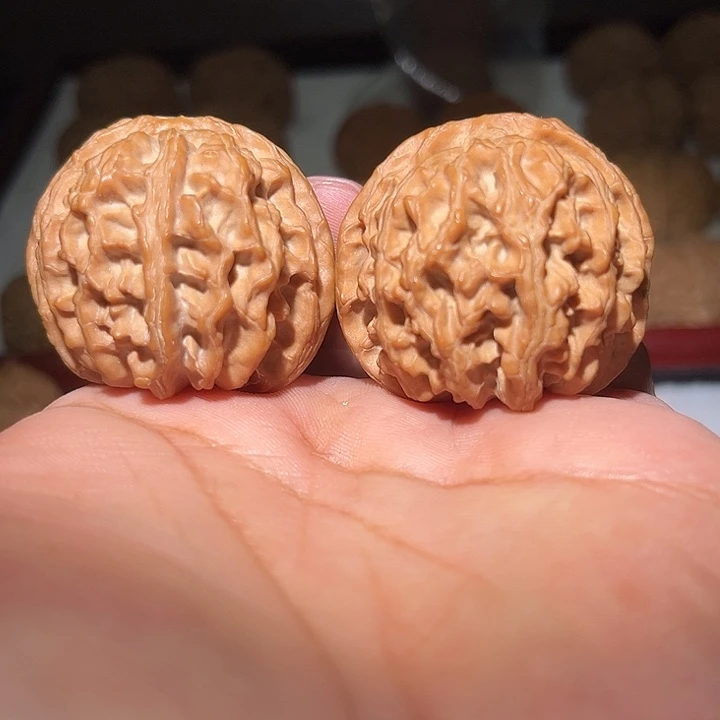 木41满肉苹果园。