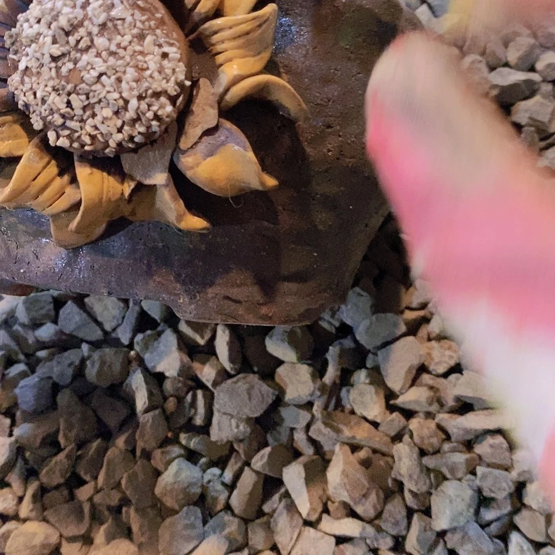 子***妈发反反复复古古怪怪