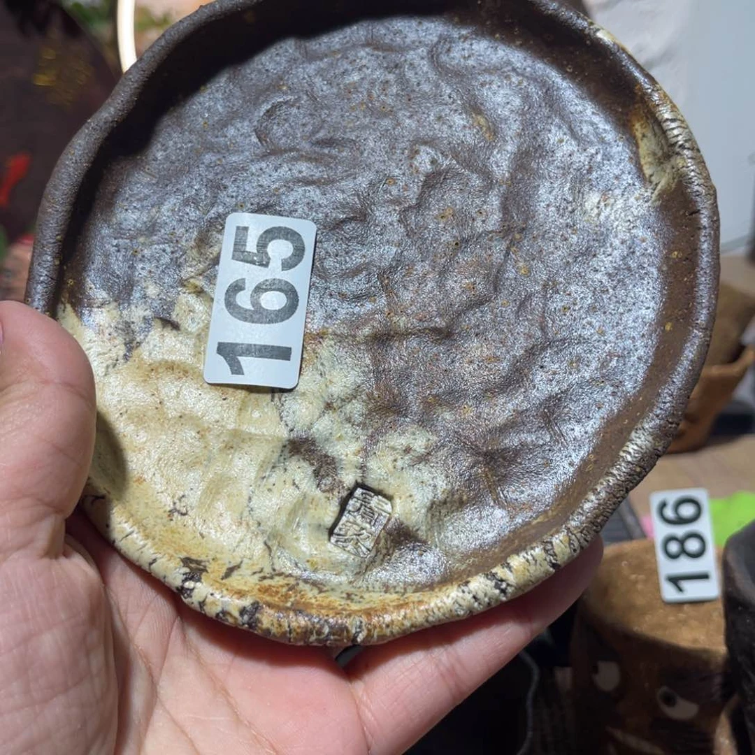 木村信弘柴烧保平