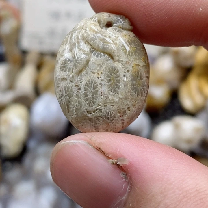 颈饰未镶嵌硅化珊瑚（珊瑚玉）有瑕 小