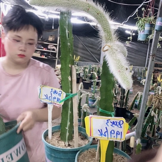 8053脱土发货无售后