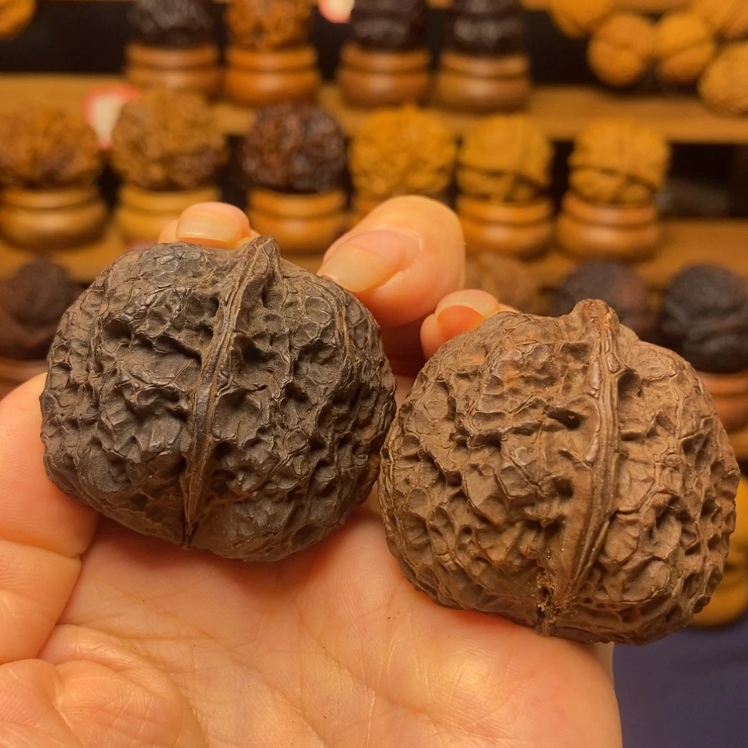 核桃手串/手链金蝉哈麻头