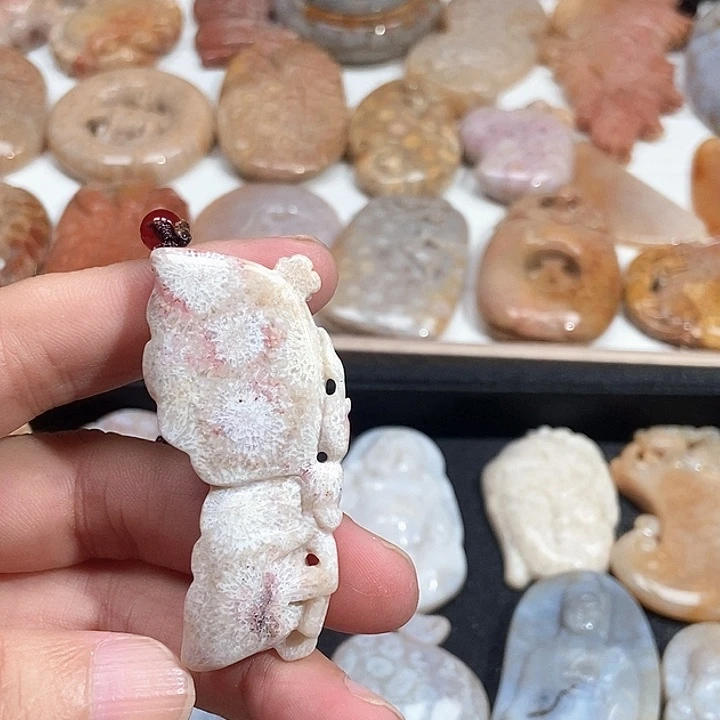 硅化珊瑚（珊瑚玉）未镶嵌颈饰