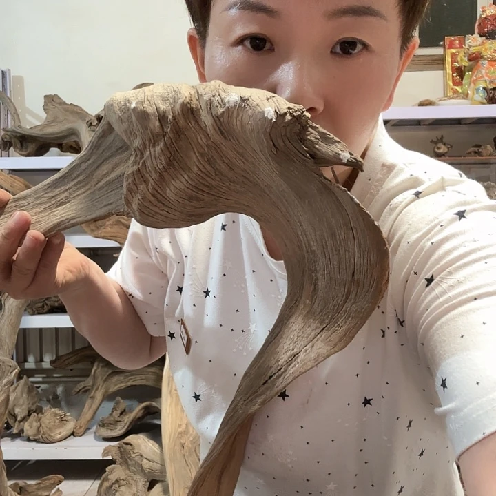 花***厅有机玻璃柏柏柏柏柏柏树柏树