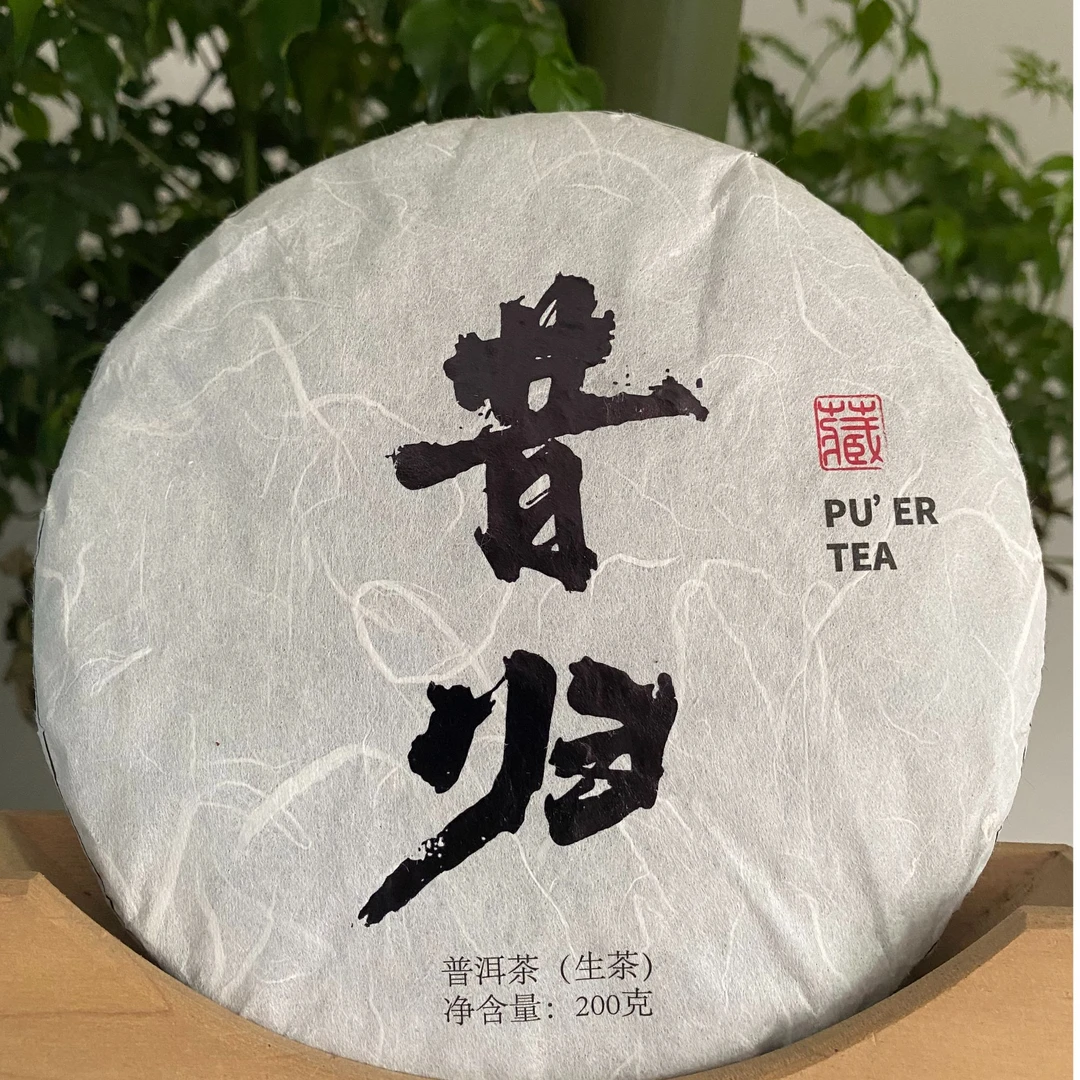 【古树纯料】2022昔归核心区古树 春 普洱茶生茶200克饼