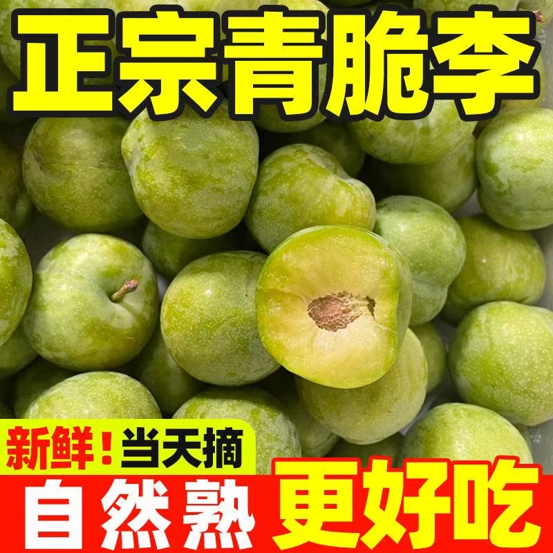 【四川青脆李】3/5斤中果 老树果酸甜脆新鲜采摘四川特产加关减5元