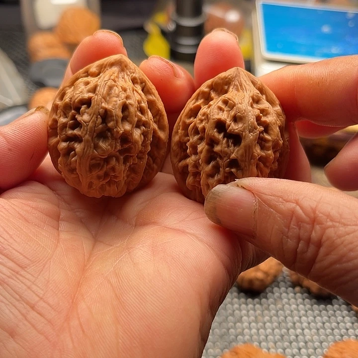 把件桃核红锦鲤边37肚48