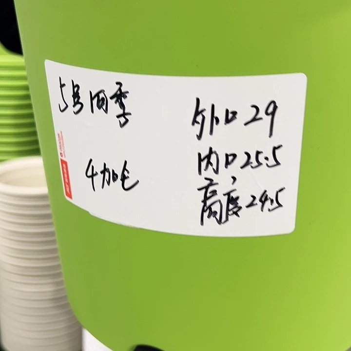 特价5号四季口29高24.5果绿无托5个