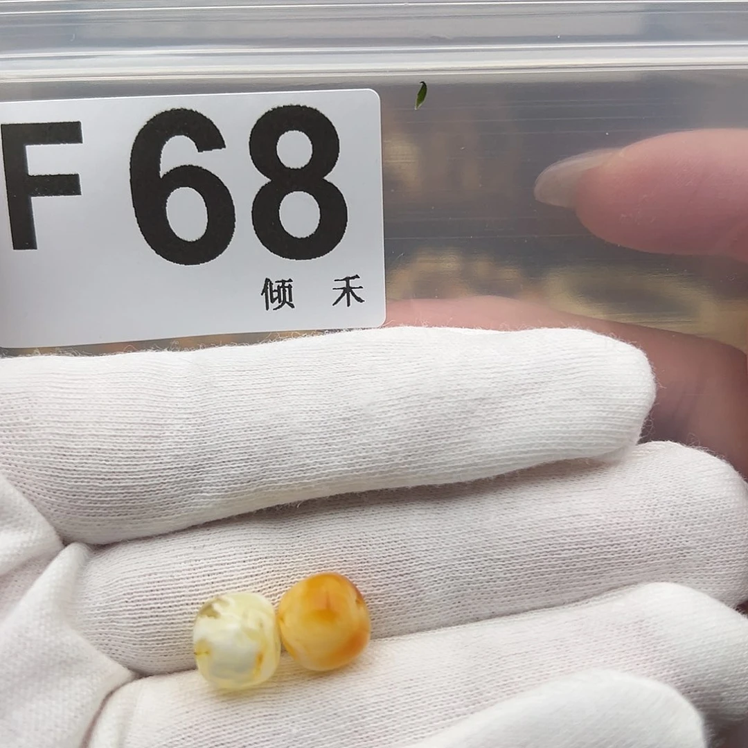 未镶嵌琥珀裸石10