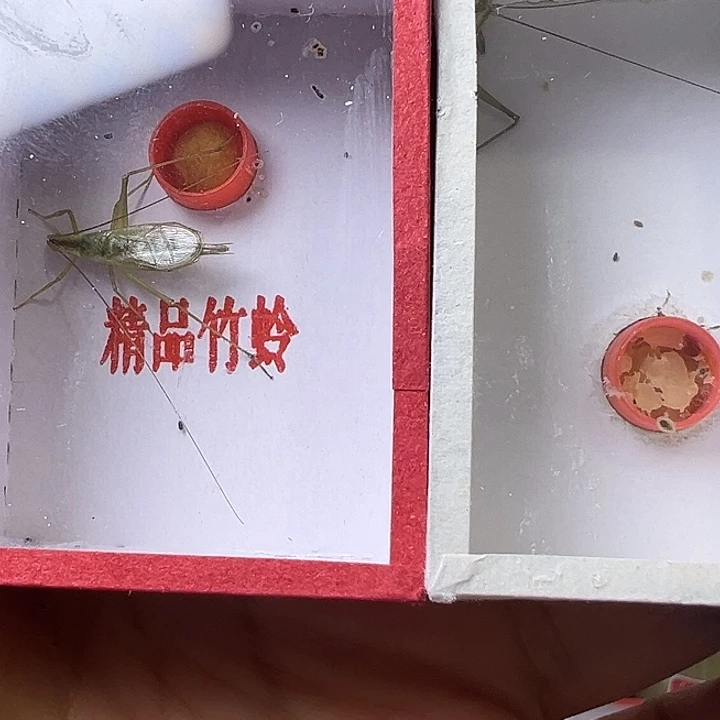 哈哈哈哈哈哈哈哈哈哈