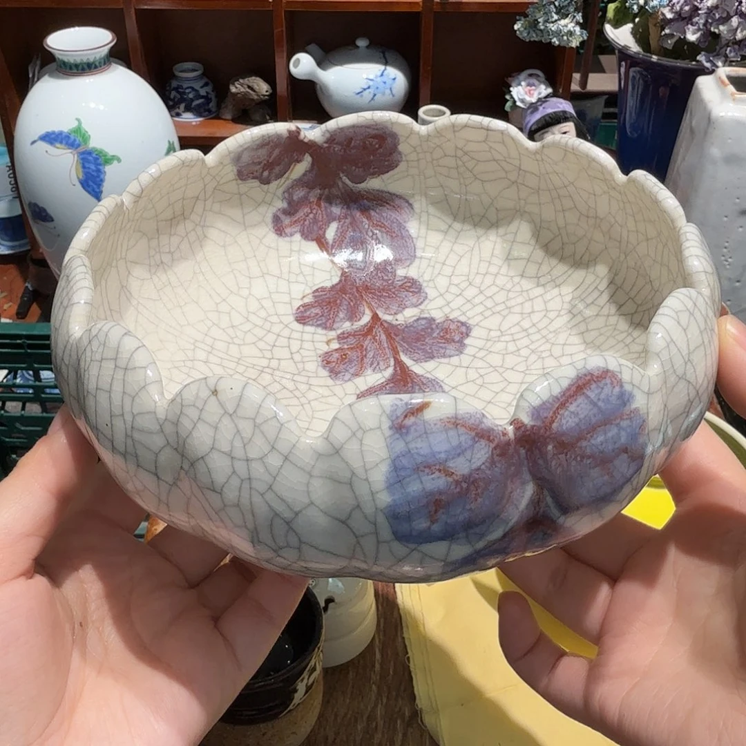 茶宠五十包邮五十包邮
