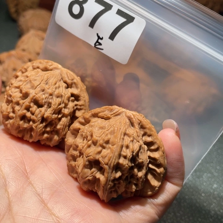 把件文玩核桃白狮子
