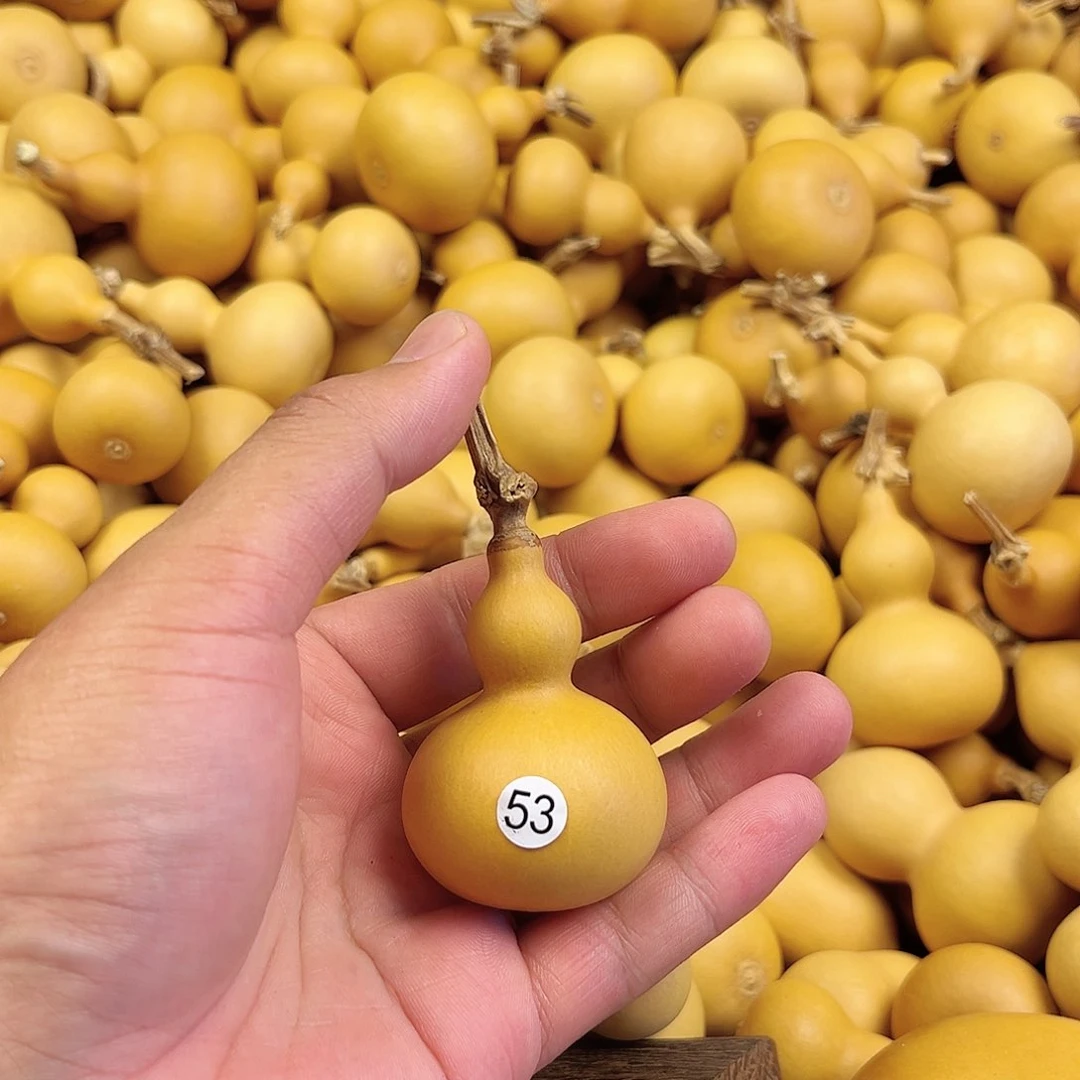 五葫芦葫芦葫芦葫芦53