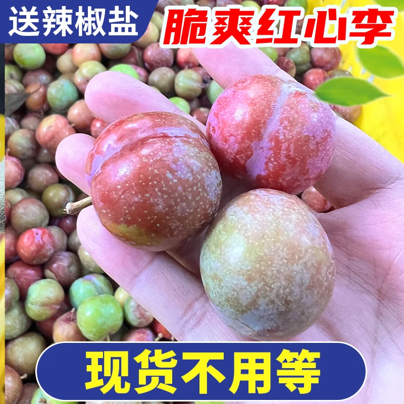 【现货】广东三华李红心李酸涩爽脆李子新鲜当季应季水果早红心李子
