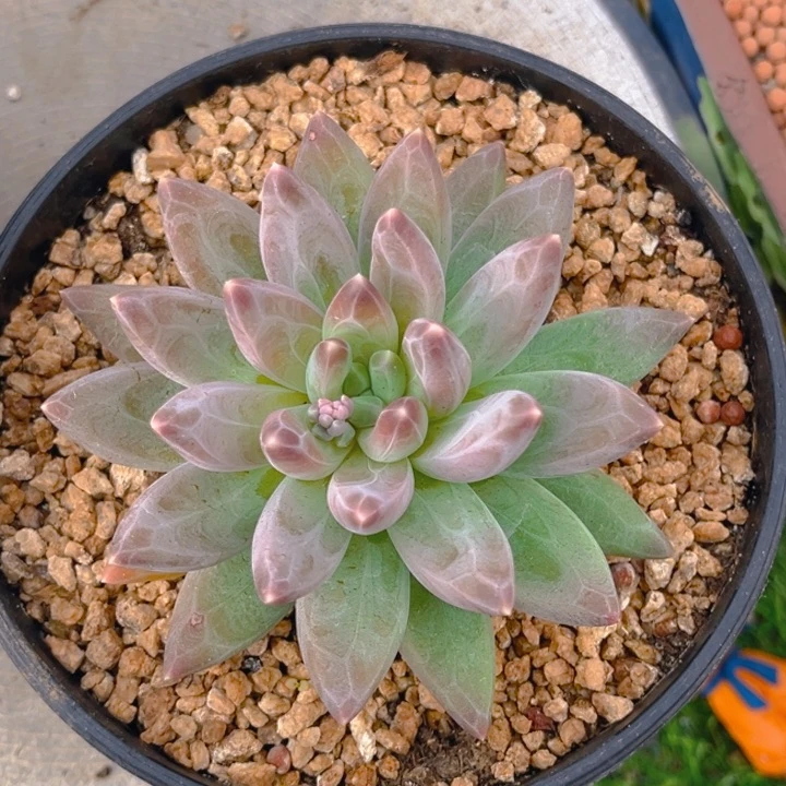 赵****1111111111111111111111111111111111