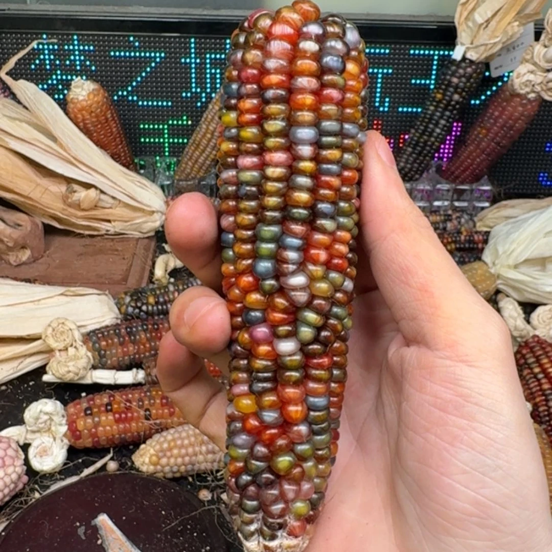 柏香籽/百香籽吊坠米*