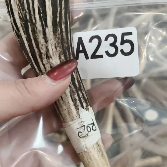 琦***悦鹿角鹿角鹿角鹿角