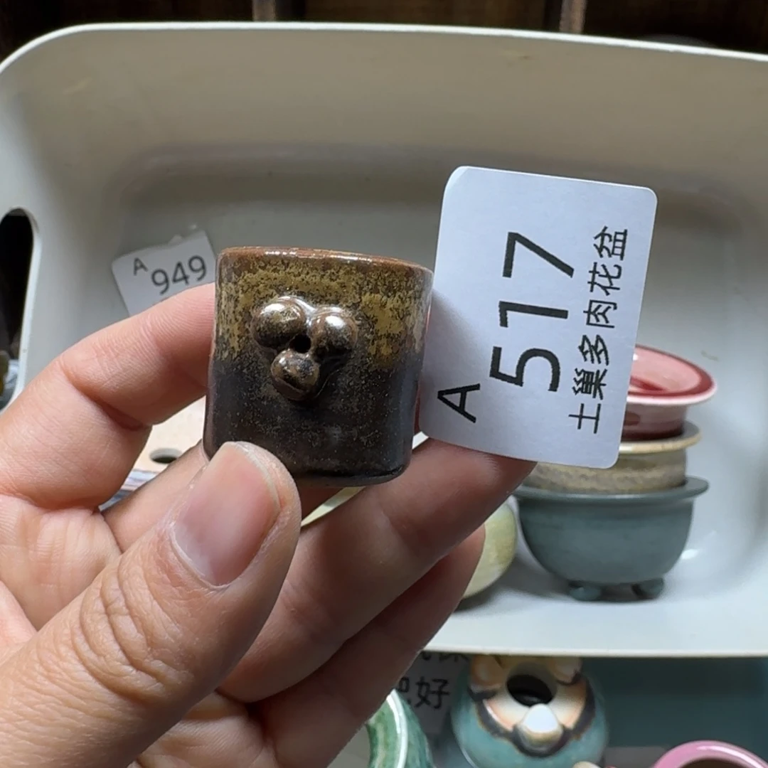 糯***酱陶瓷艺术品设计与制作