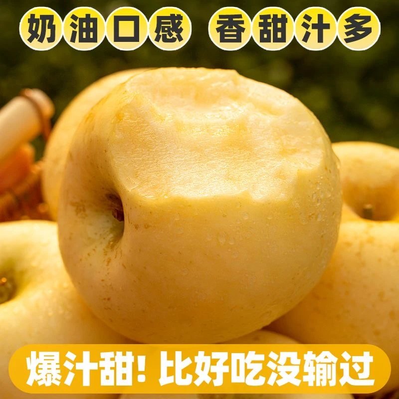 正宗山东烟台黄金奶油富士苹果新鲜水果冰糖心当季甜苹果产地脆甜