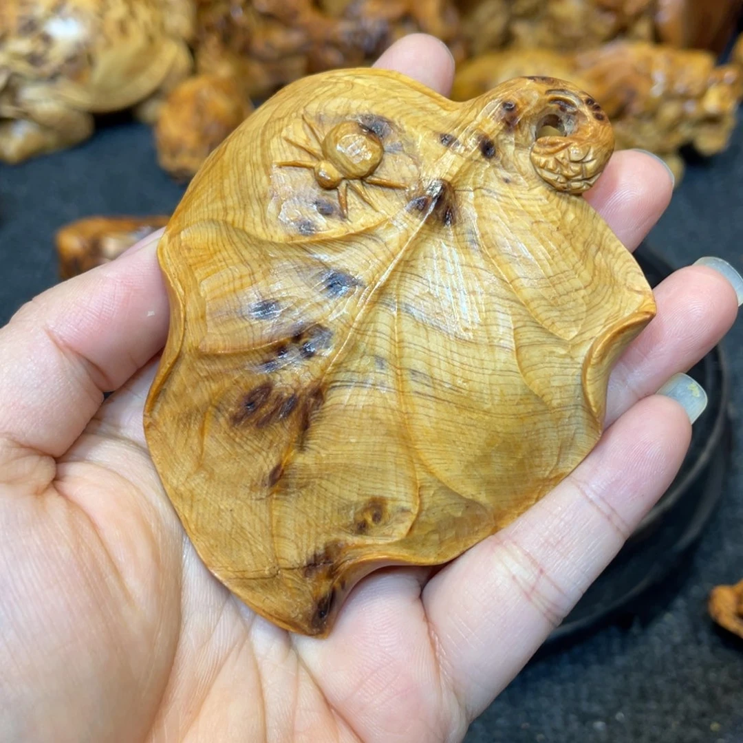 柏木（崖柏）太行陈化留疤金叶