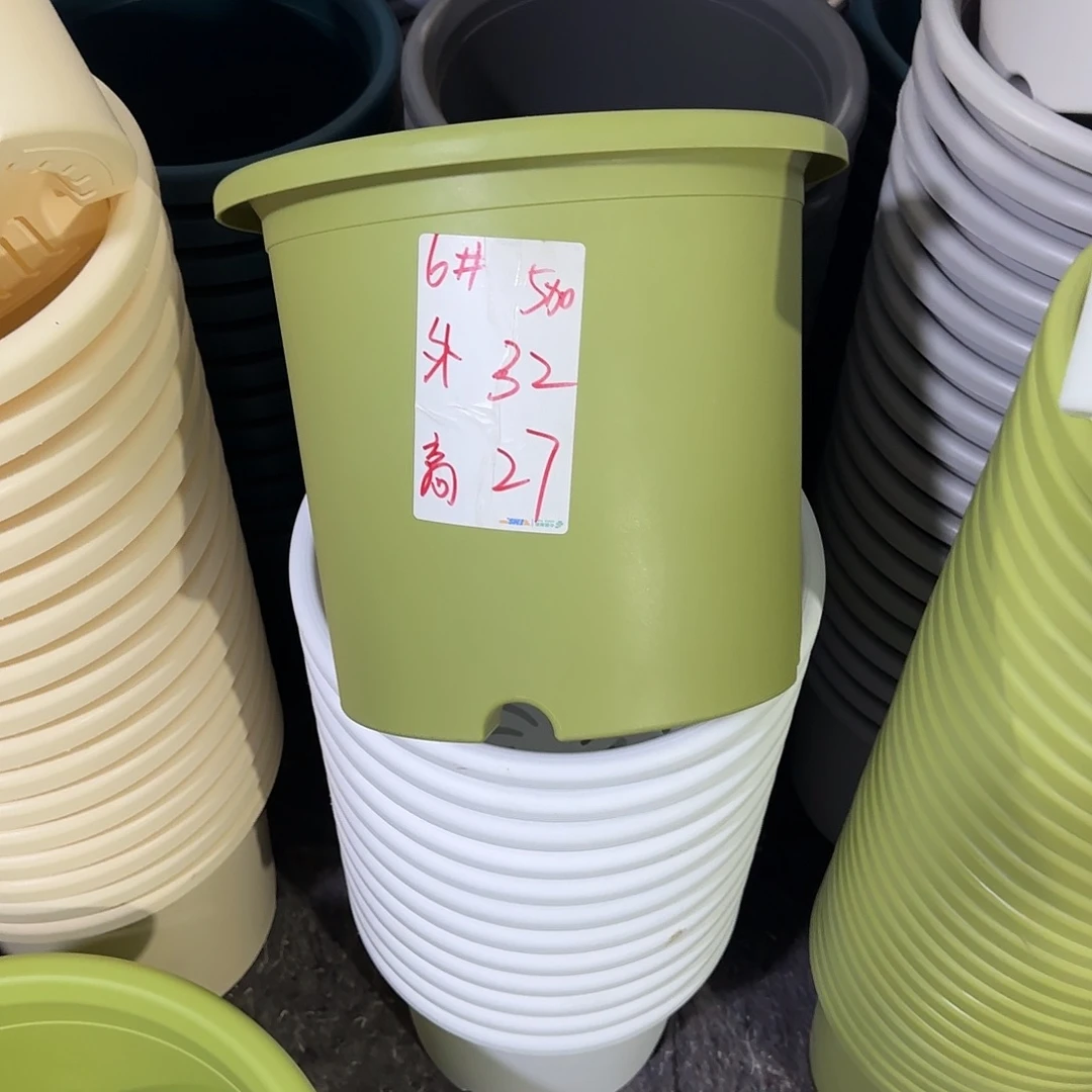 微瑕6号无托，果绿7个