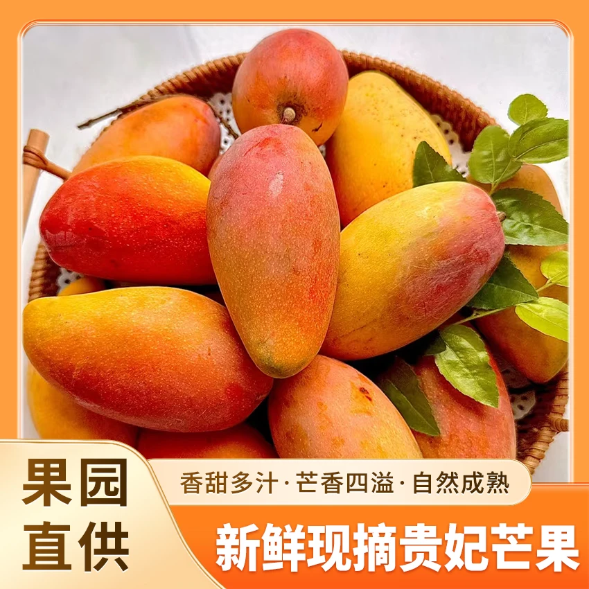 LI海南贵妃芒果5斤【催熟食用】新鲜采摘应季孕妇水果香甜多汁