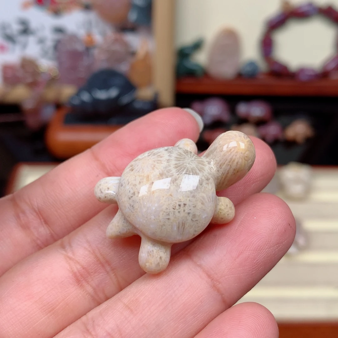硅化玉未镶嵌颈饰