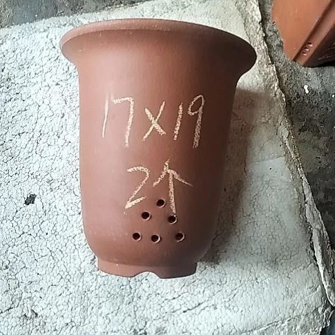 红泥小金钟两个花盆