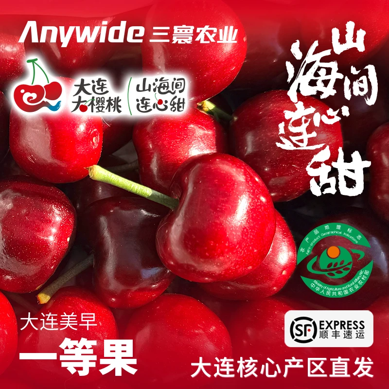 一等果2斤  大连美早大樱桃 山海间·连心甜 产地现摘 顺丰直发