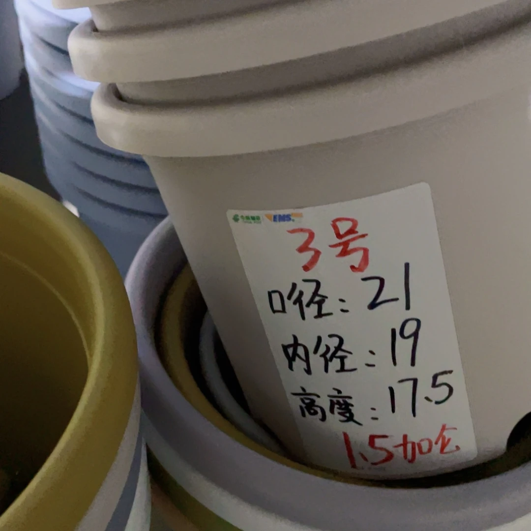 四季微瑕3号果绿无拖10个
