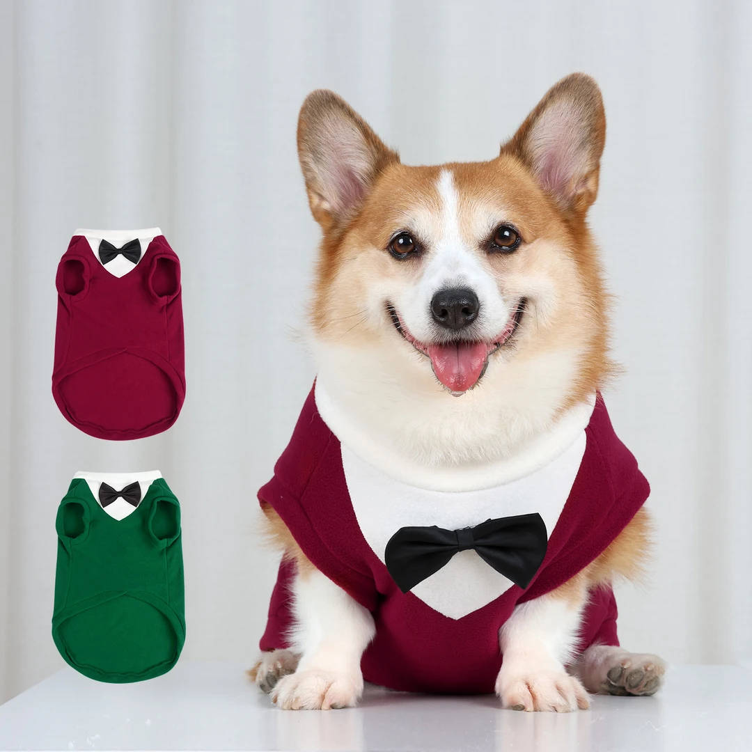 宠物衣服秋冬款狗狗背心柯基马甲护肚子中型犬防脏防掉毛2025新款