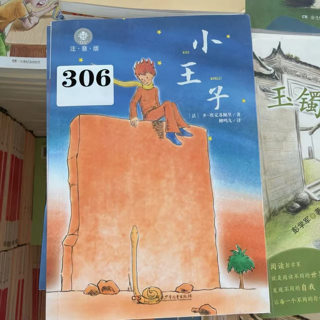 湖南少儿】小王子/埃克苏佩里著/306