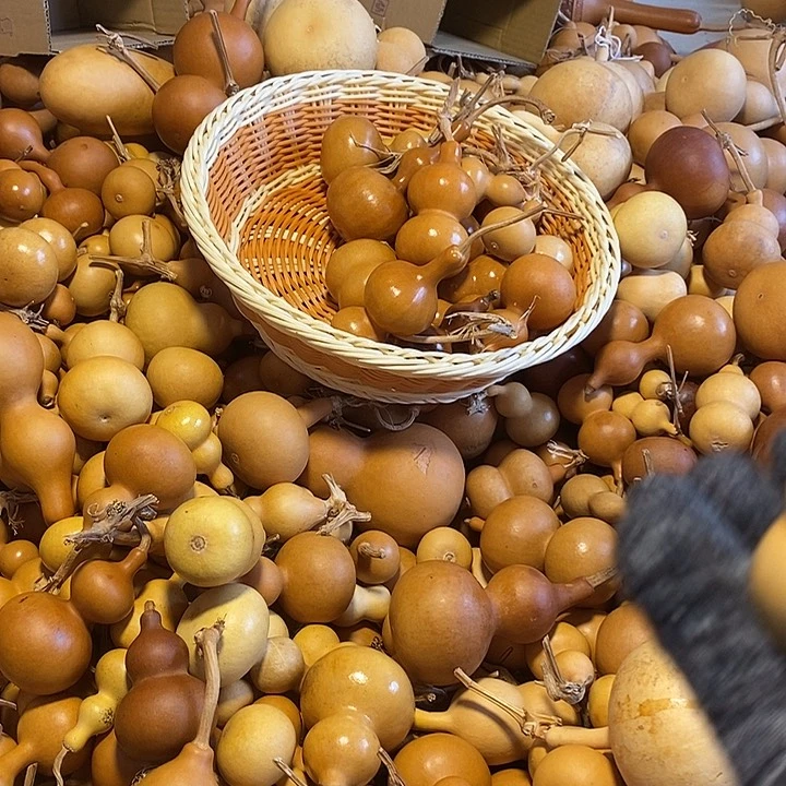 卡***k不退不换运输途中不保龙头完美主义者勿拍