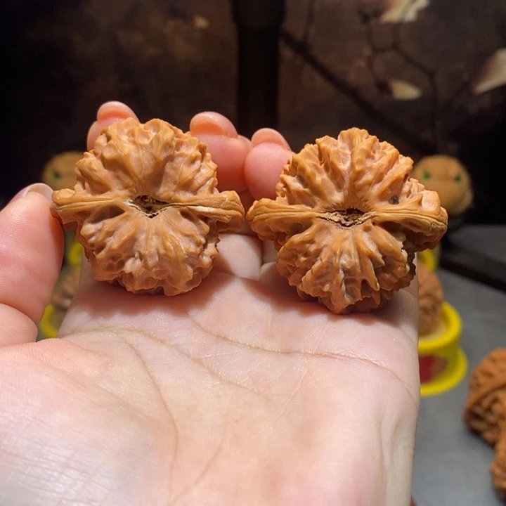 40曹大龙文玩核桃