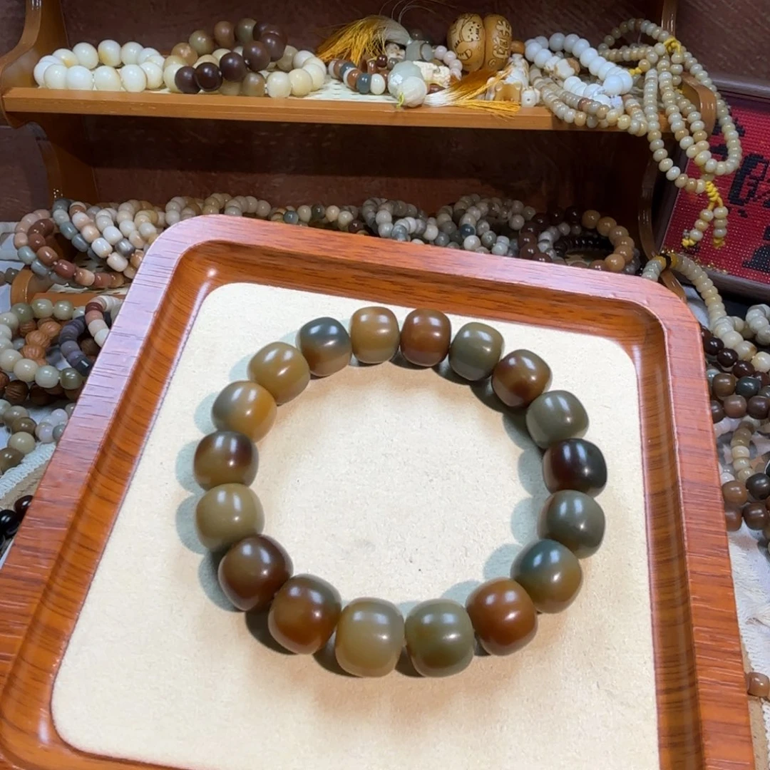 菩提根/象牙果吊坠14桶