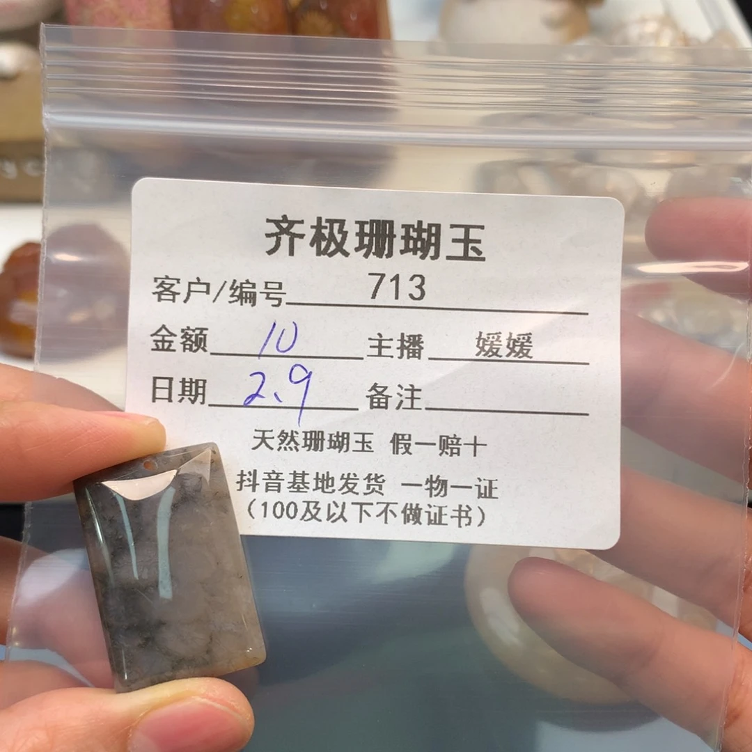 硅化珊瑚（珊瑚玉）颈饰未镶嵌1**X