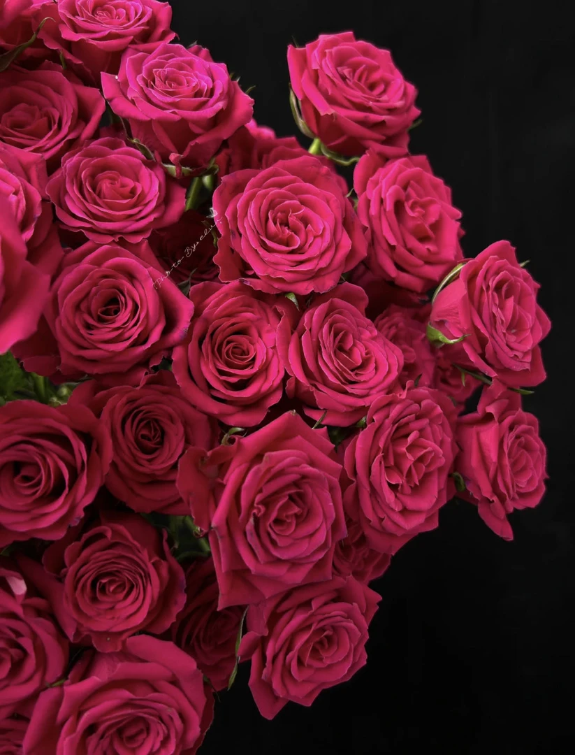 【小阿阮】A级多头玫瑰#高盛#花期长家庭鲜花装饰 顺丰空运