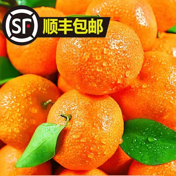 【顺丰包邮】正宗广西砂糖橘甜薄皮桔子纯甜应季采摘新鲜4.5/8.5斤