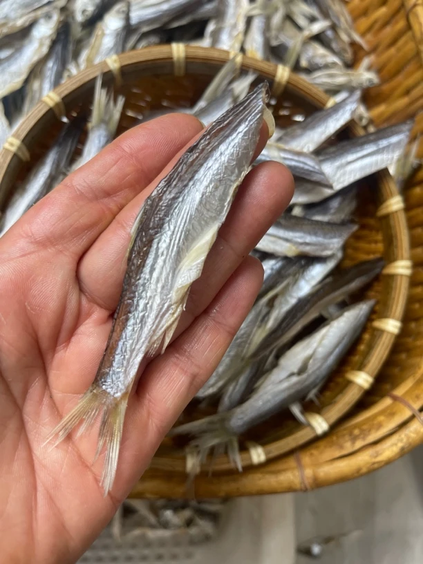 去头野生小白条鱼