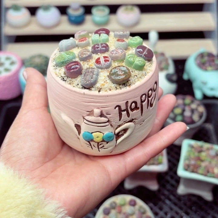 7021零下地区记得拍保温箱