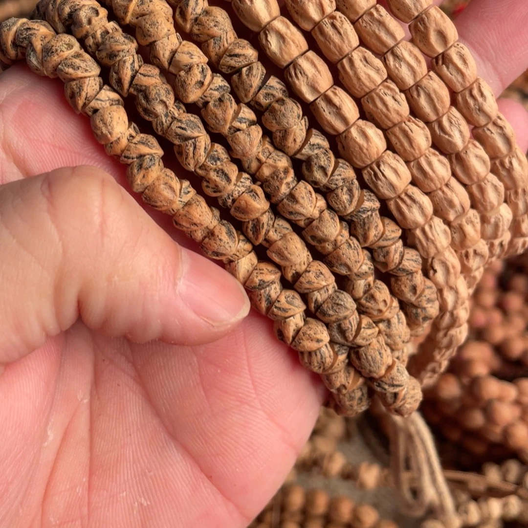 听****热振柏香籽听岛哥